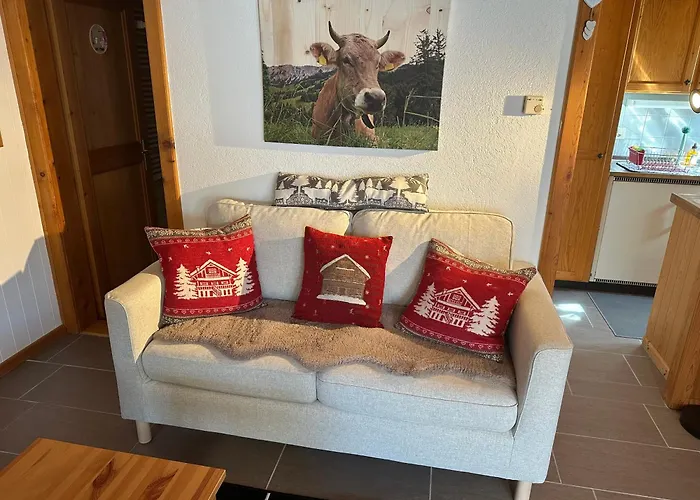 1 Room Apt, Kitchen, Patio, In Beautiful Chalet