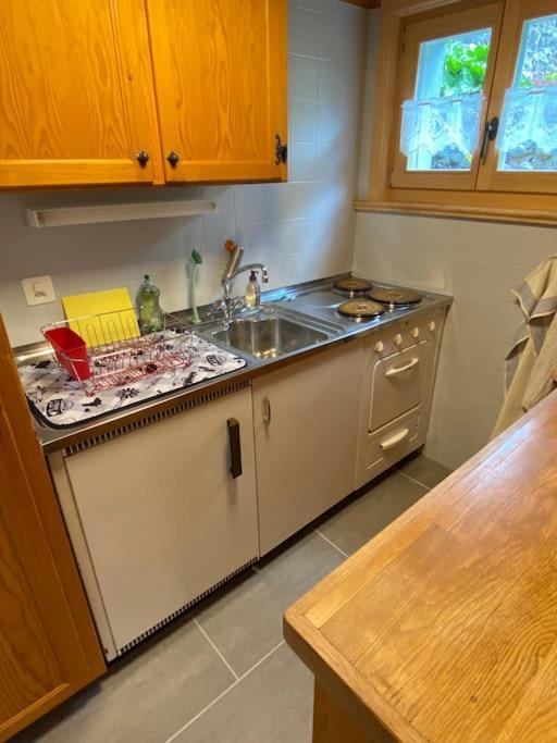 Apartment 1 Apt, Kitchen, Patio, In Beautiful Les Diablerets
