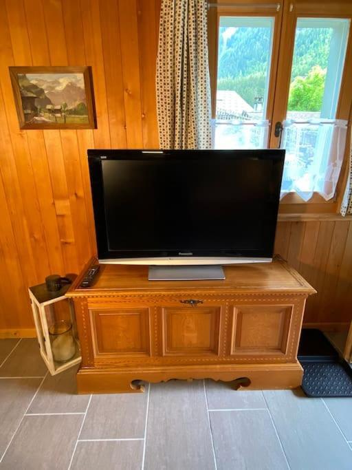 Apartment 1 Apt, Kitchen, Patio, In Beautiful Les Diablerets