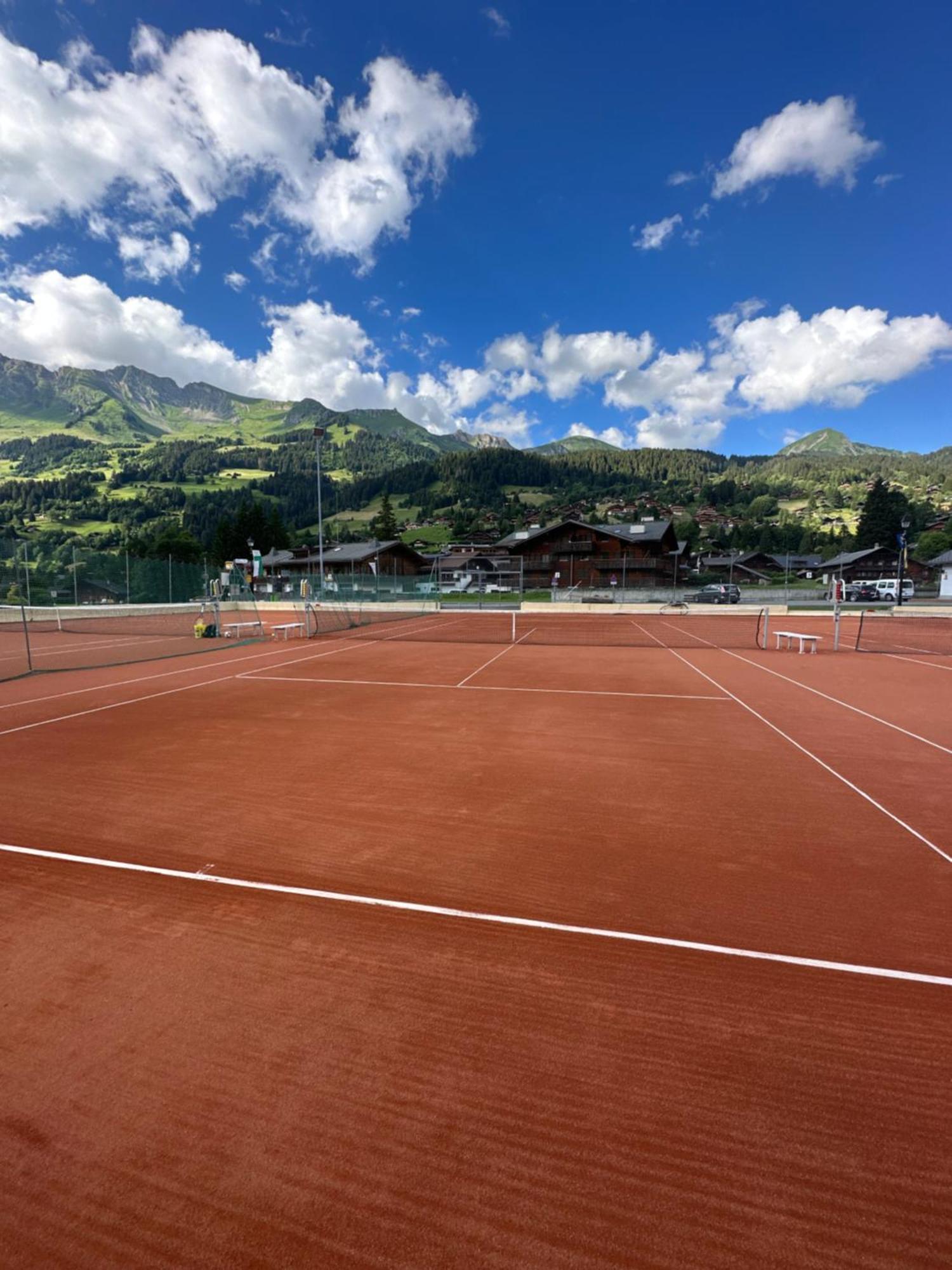 Apartment 1 Apt, Kitchen, Patio, In Beautiful Les Diablerets